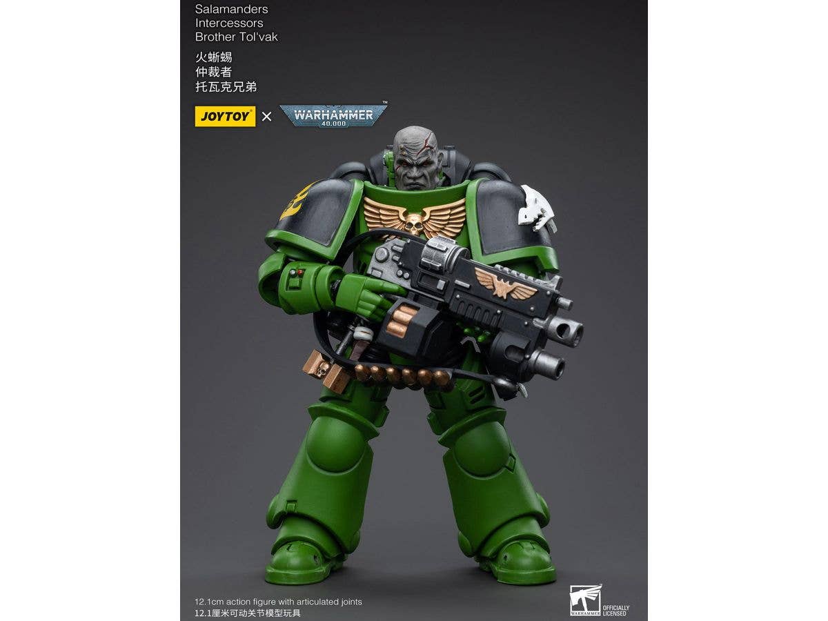 Warhammer 40K Salamanders Intercessors Brother Tol'vak
