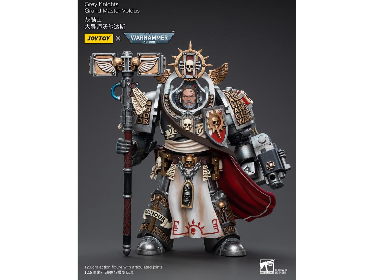 Warhammer 40K Grey Knights Grand Master Voldus