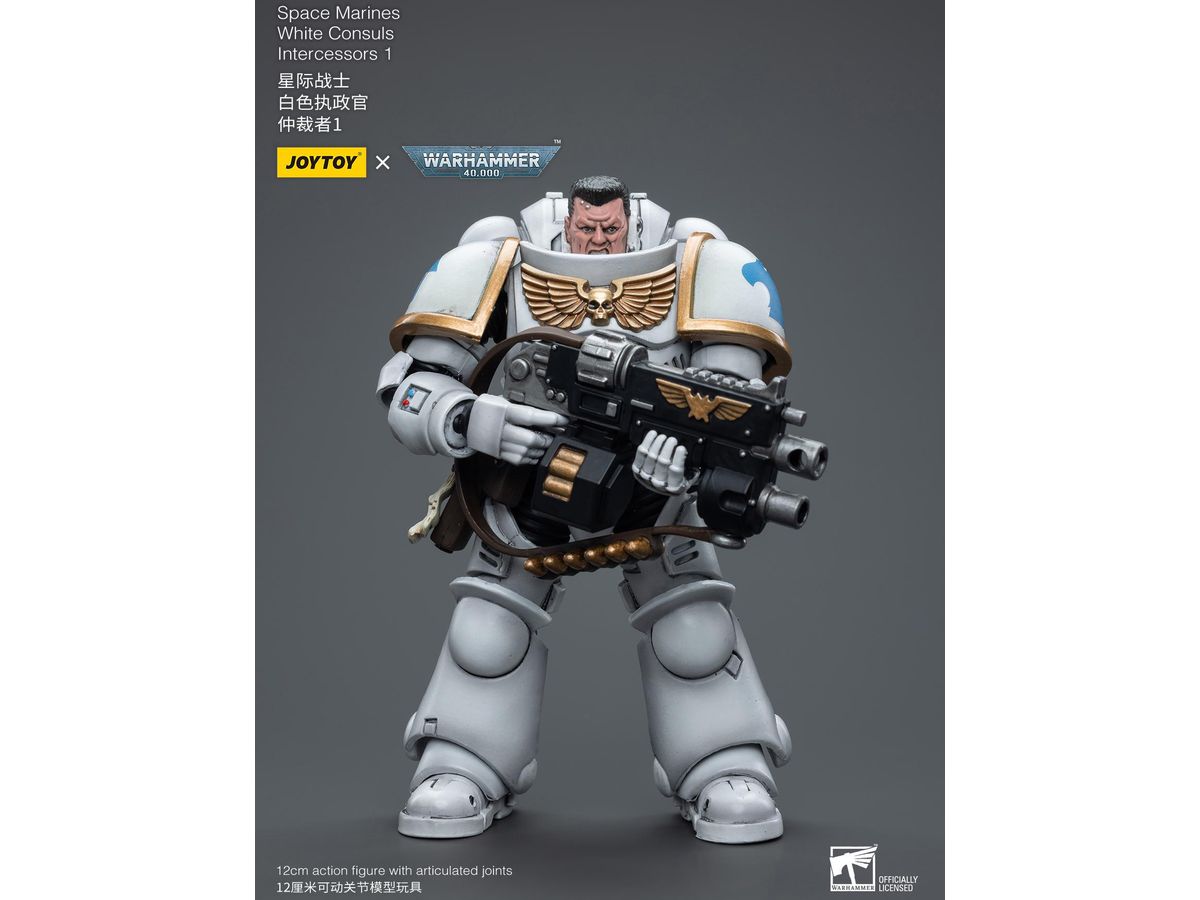 Warhammer 40K Space Marines White Consuls Intercessors 1