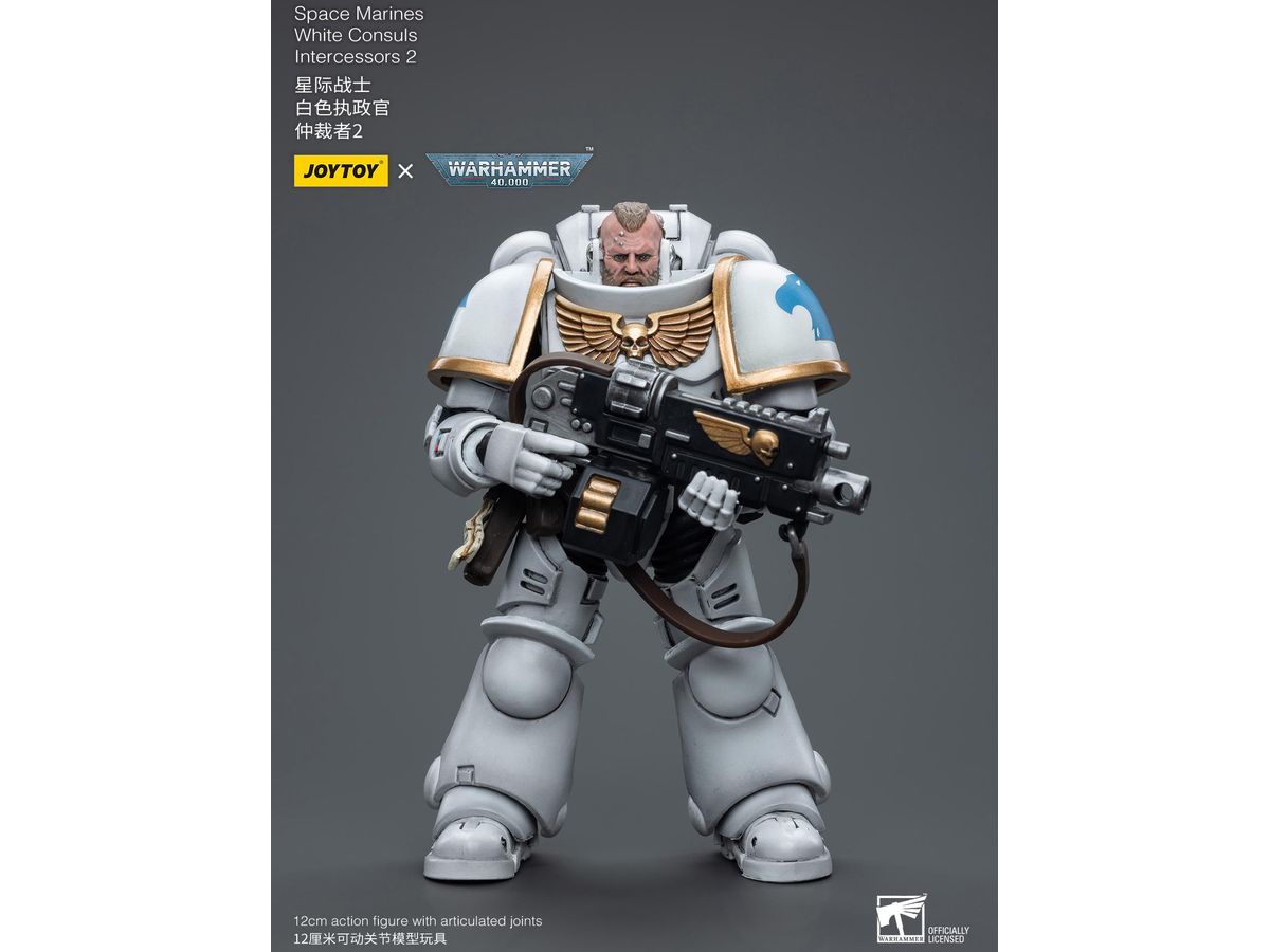 Warhammer 40K Space Marines White Consuls Intercessors 2