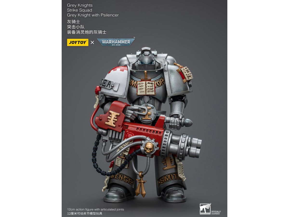 Warhammer 40K Grey Knights Strike Squad Grey Knight with Psilencer