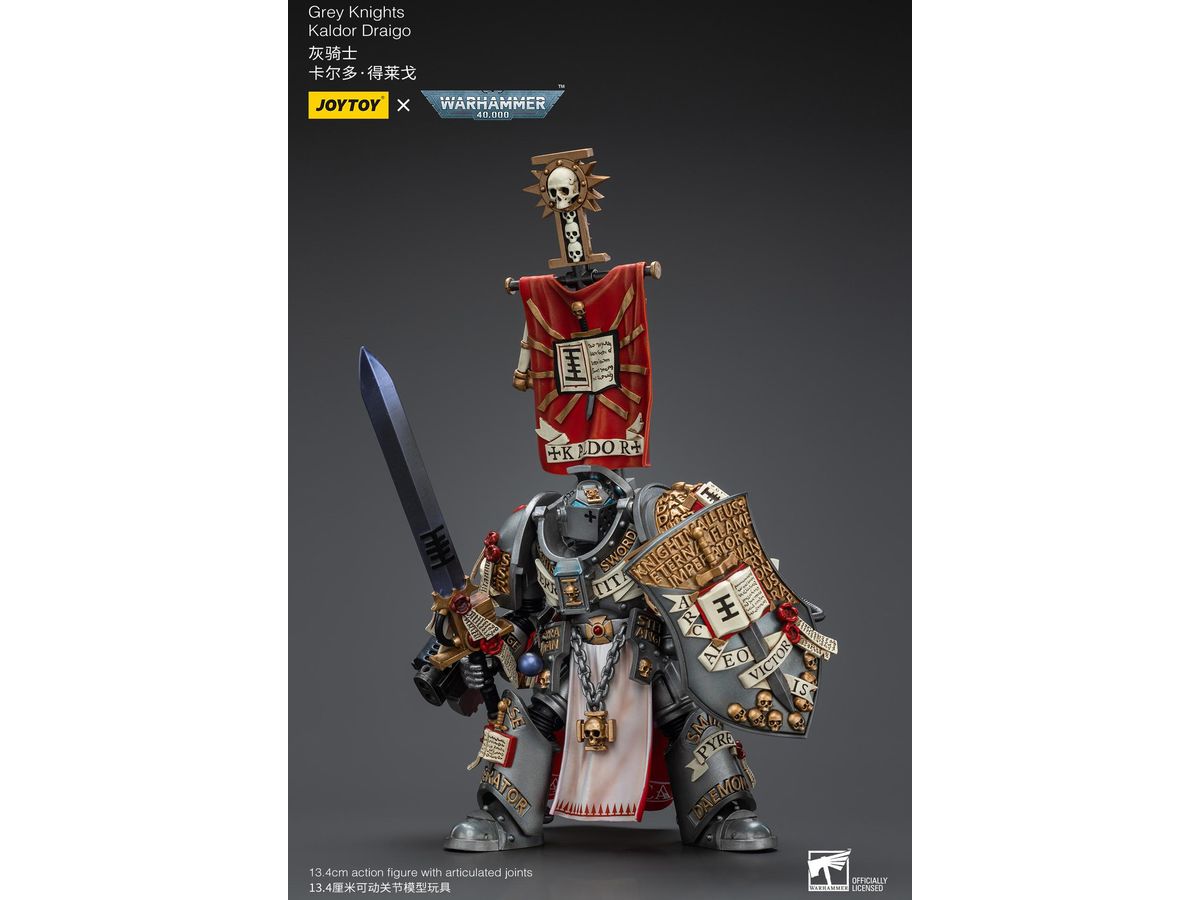 Warhammer 40K Grey Knights Kaldor Draigo