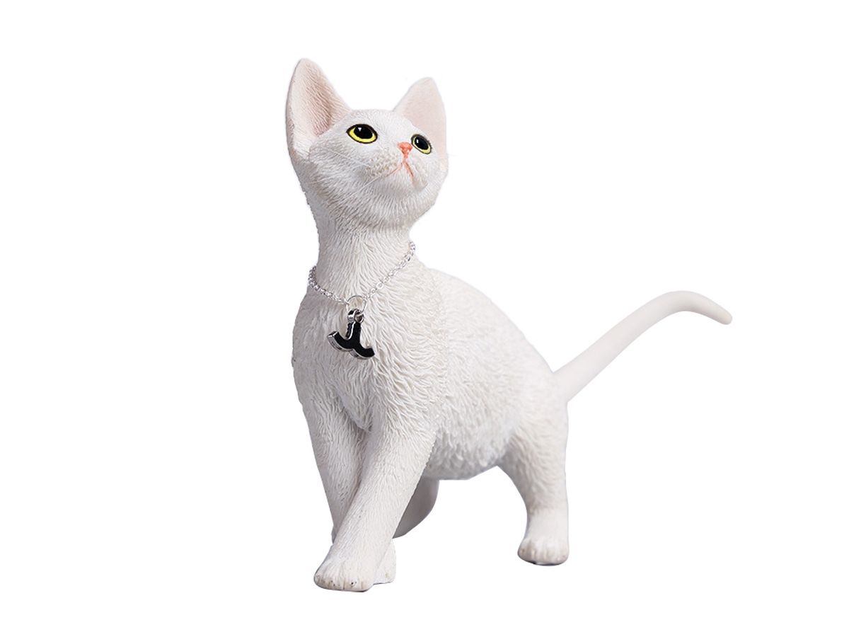 JXK Studio Devon Rex 4.0 C