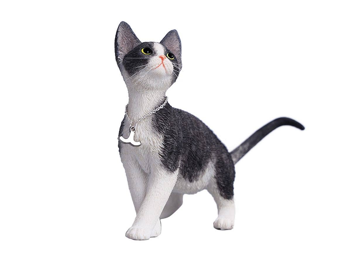 JXK Studio Devon Rex 4.0 D