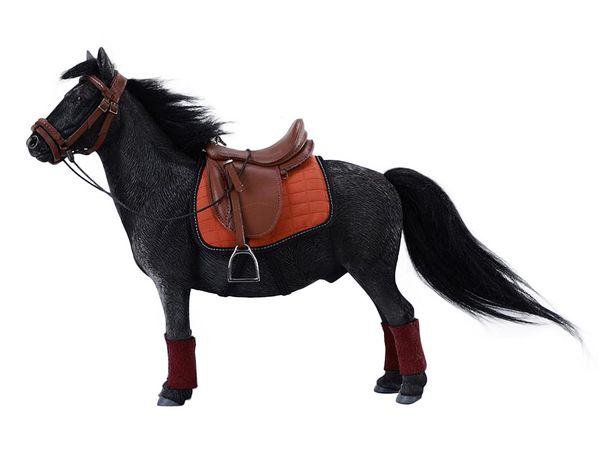 JXK Bangs Little Pony Shetland Pony B