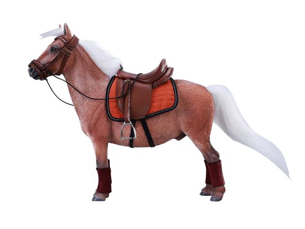 JXK Bangs Little Pony Shetland Pony D