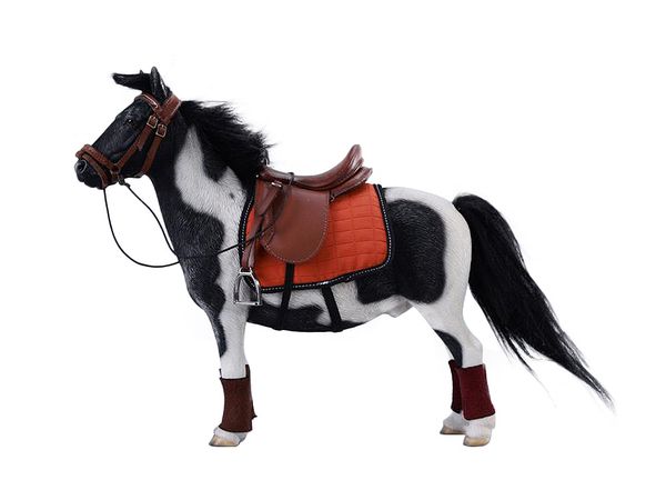 JXK Bangs Little Pony Shetland Pony E