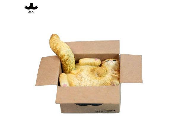 JXK Studio Cardboard Box Cat A