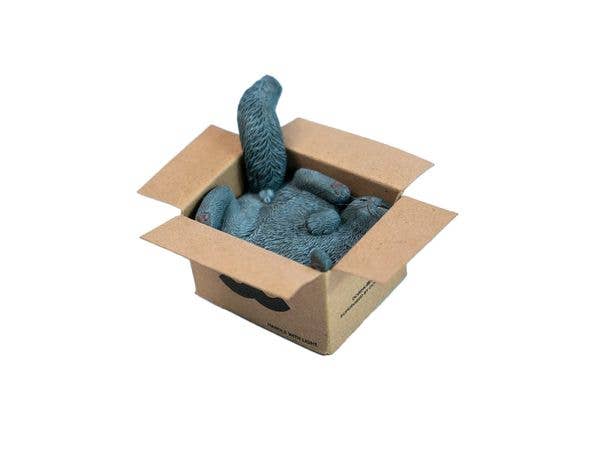 JXK Studio Cardboard Box Cat B