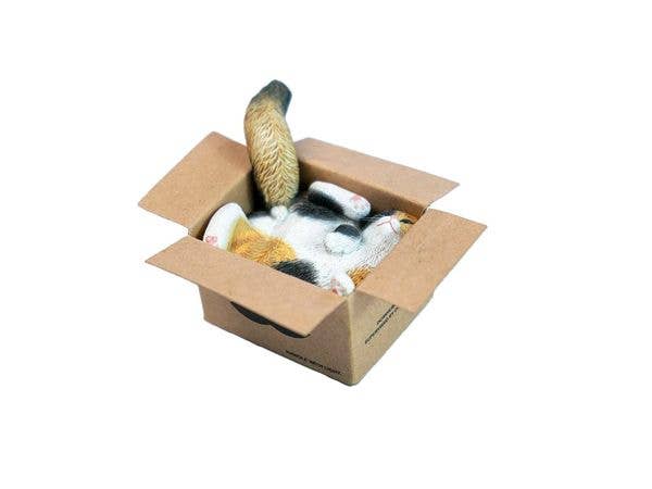 JXK Studio Cardboard Box Cat C