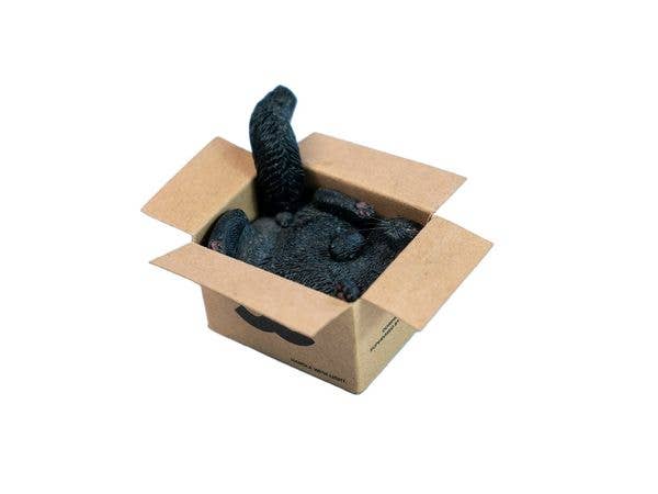 JXK Studio Cardboard Box Cat D