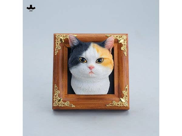 JXK Studio Gentle-eyed Country Cat A