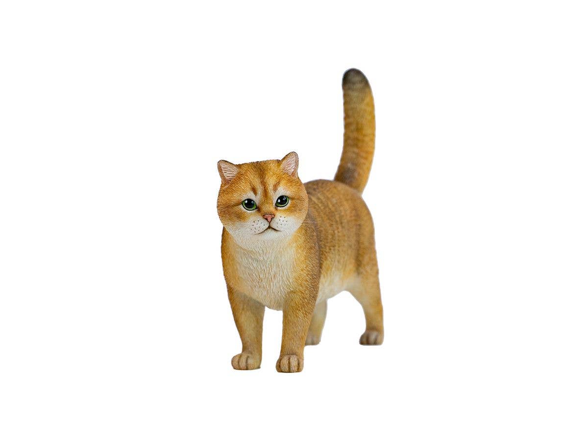 JXK Studio Golden & Silver Gradient Cat A