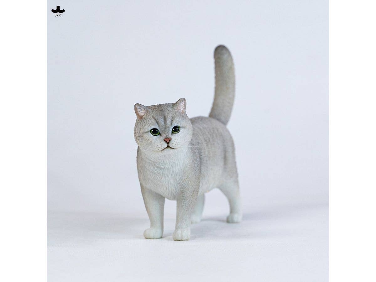 JXK Studio Golden & Silver Gradient Cat B