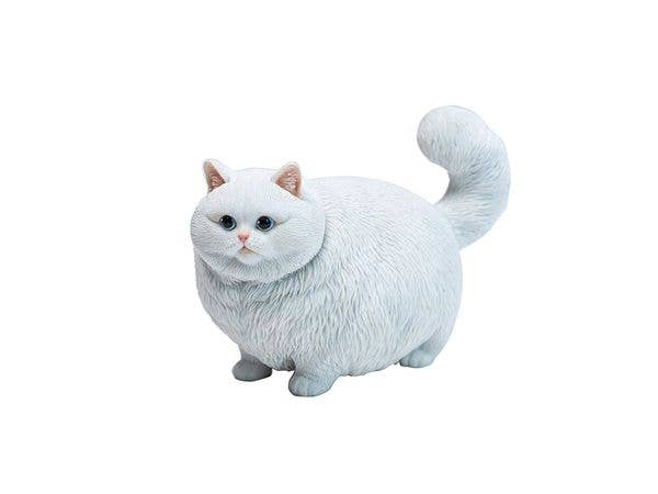 JXK Chubby Kitty White