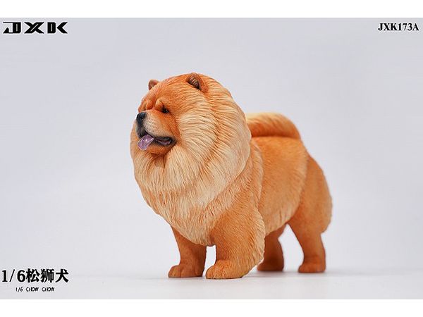 Chow Chow A Red
