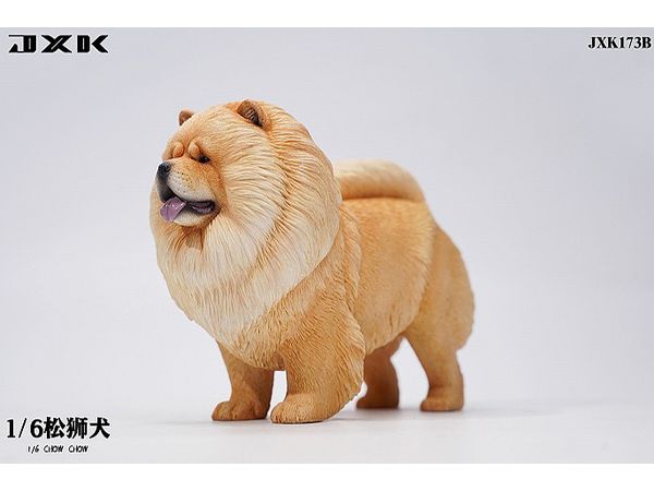 Chow Chow B Cinnamon