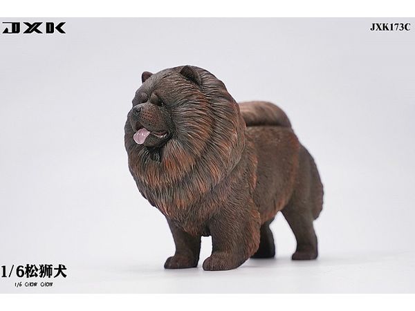 Chow Chow C Black