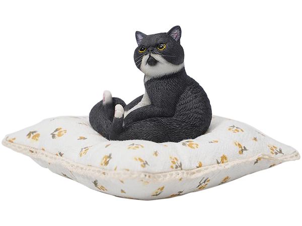Gutara Cat 8.0 D
