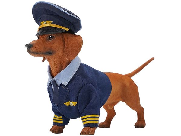 Dachshund