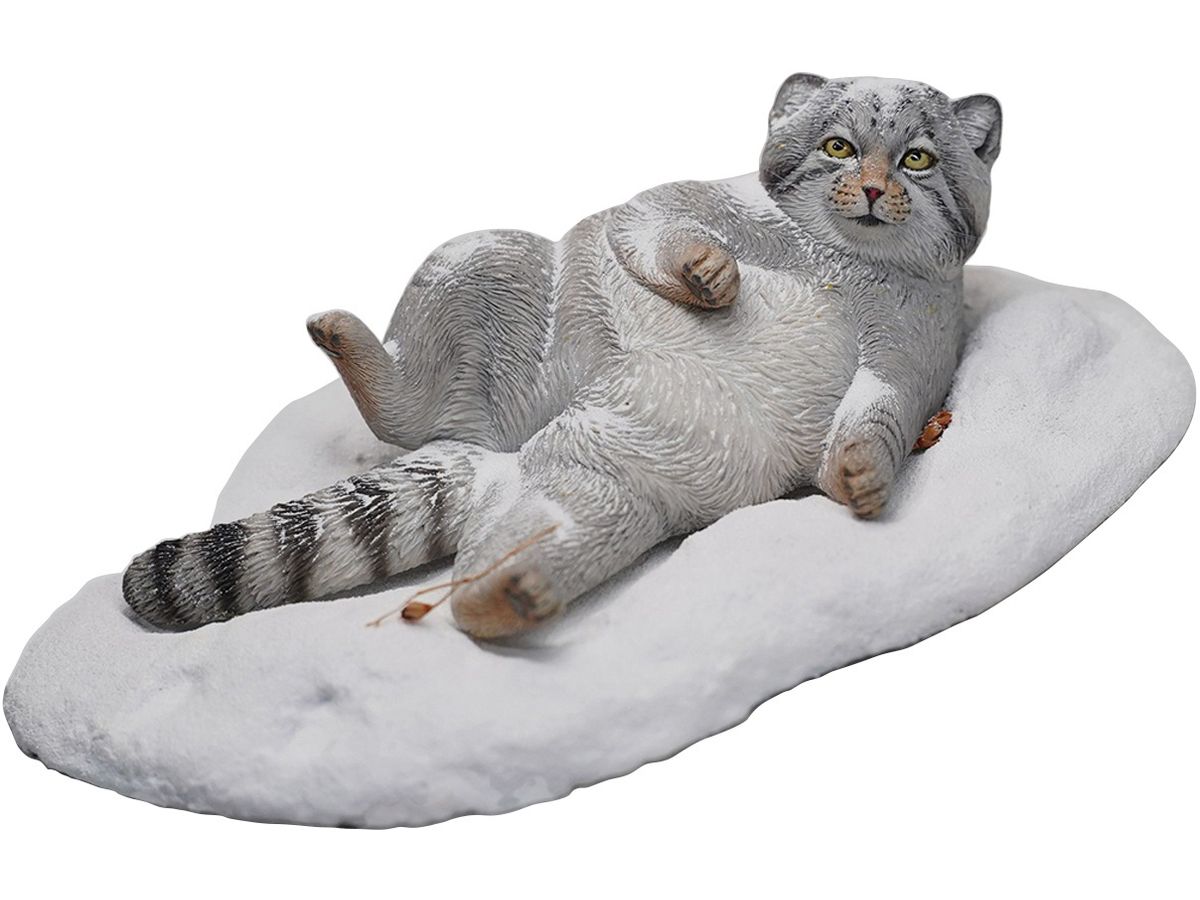 Pallas's Cat A