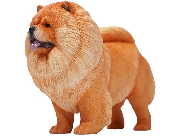Chow Chow A