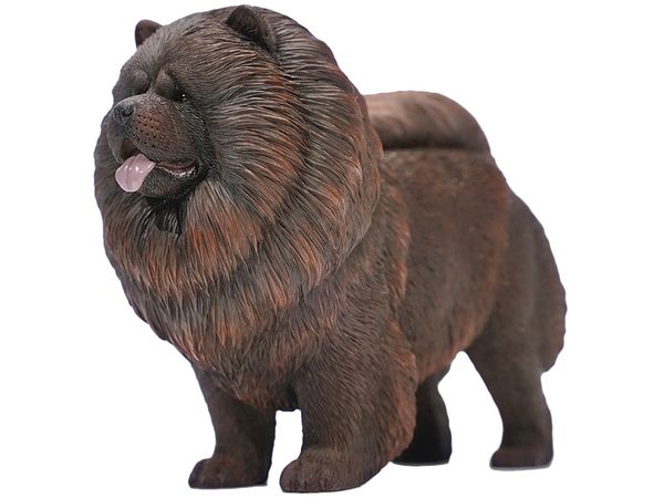 Chow Chow C