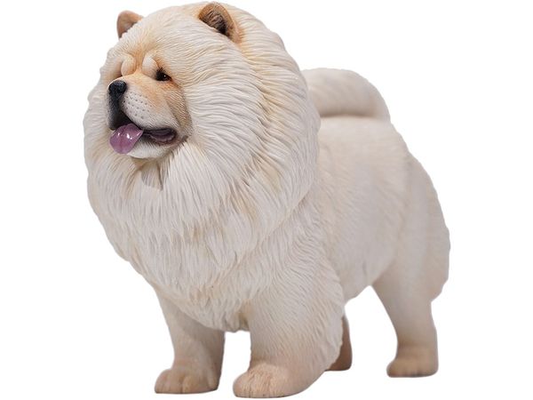 Chow Chow D