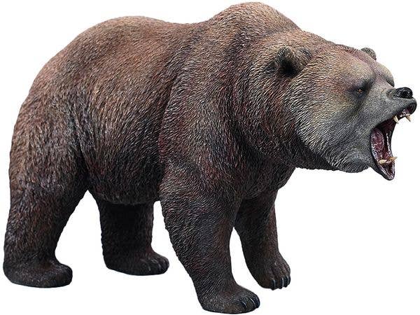 Brown Bear 2.0