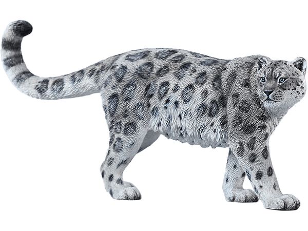 Snow Leopard A