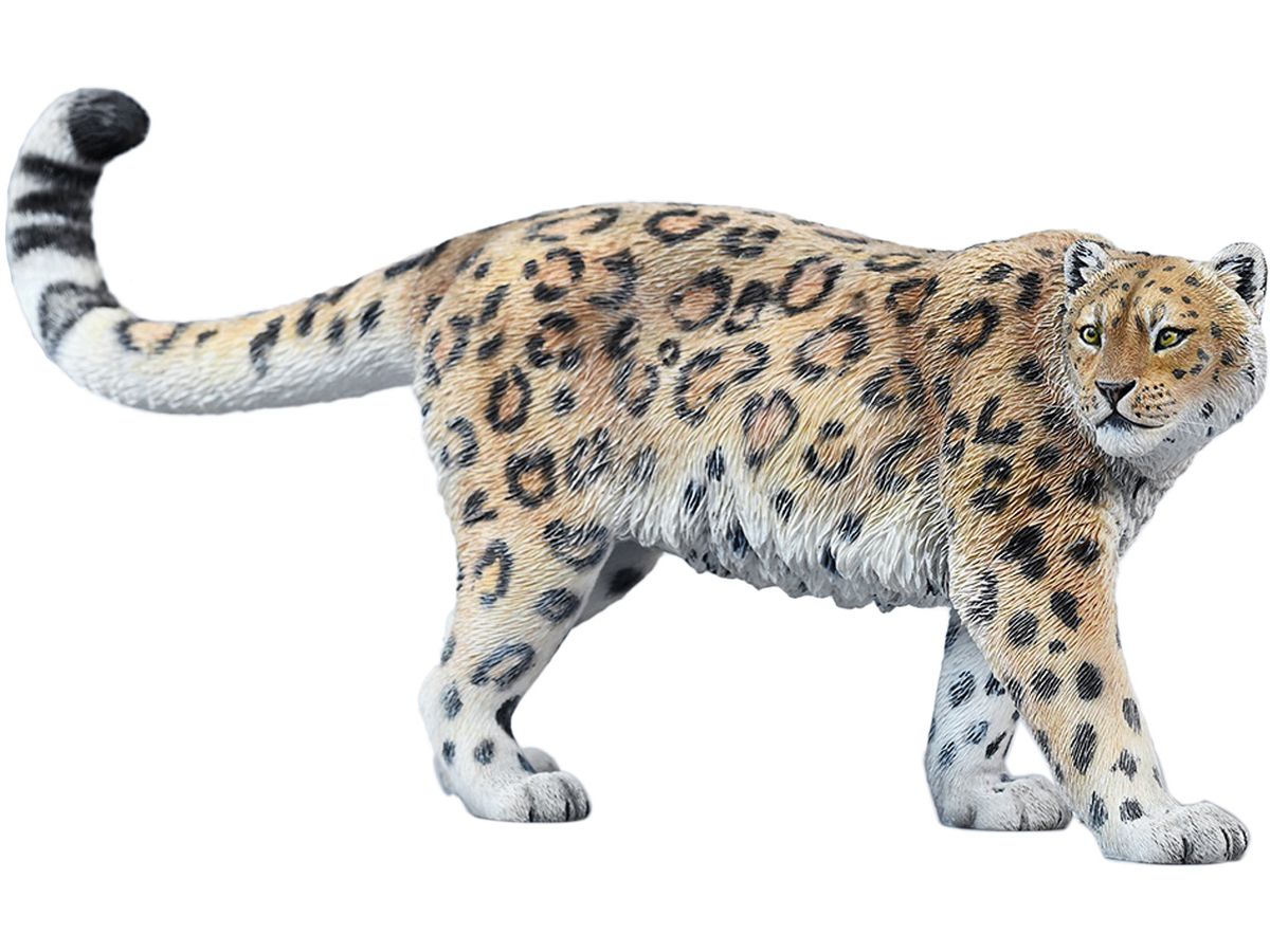 Snow Leopard B