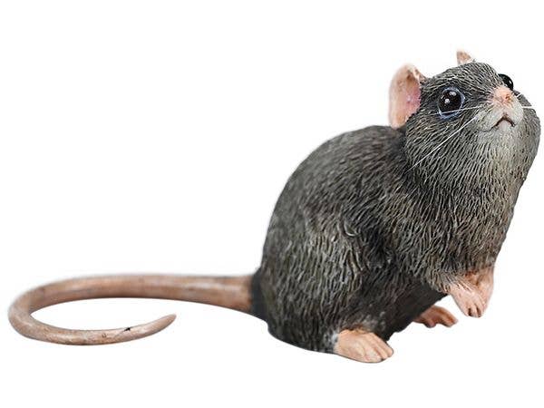 Little Mouse A