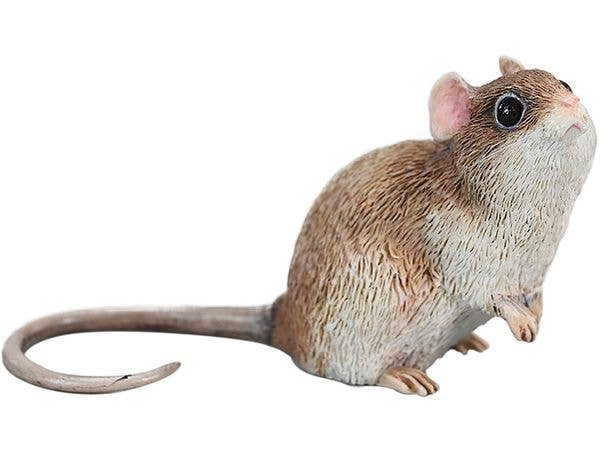 Little Mouse B