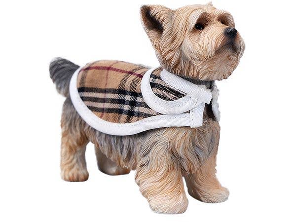 Yorkshire Terrier A