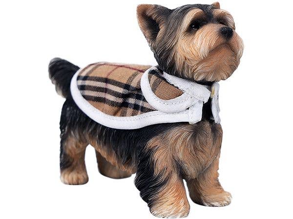 Yorkshire Terrier B