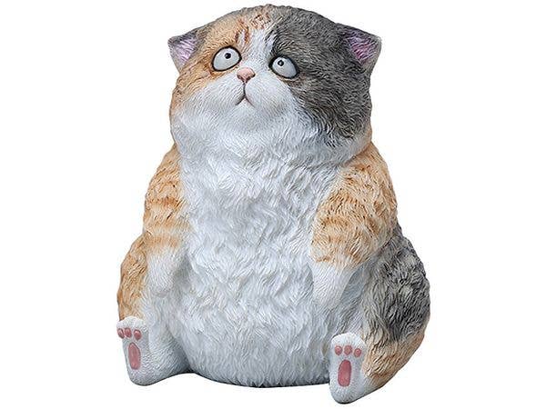 Silly Cat A