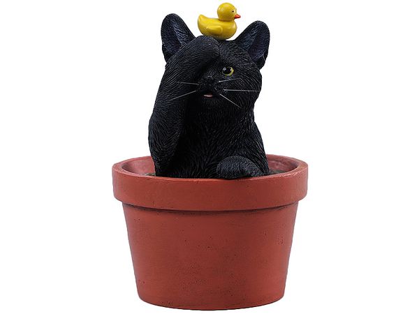 Flower Pot Cat A