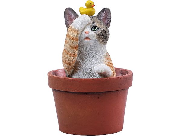 Flower Pot Cat B
