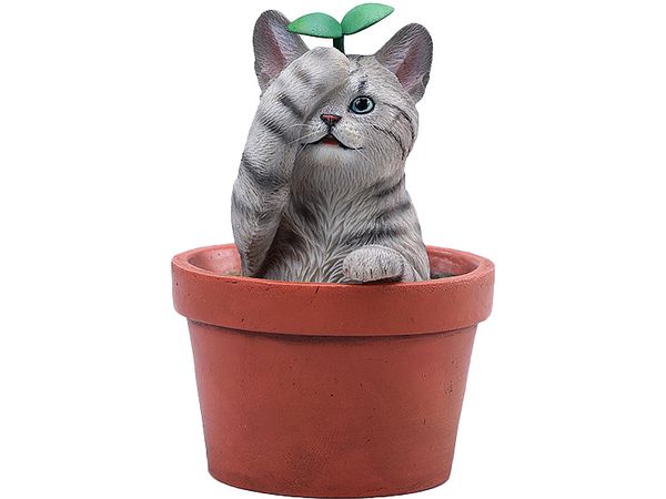 Flower Pot Cat C