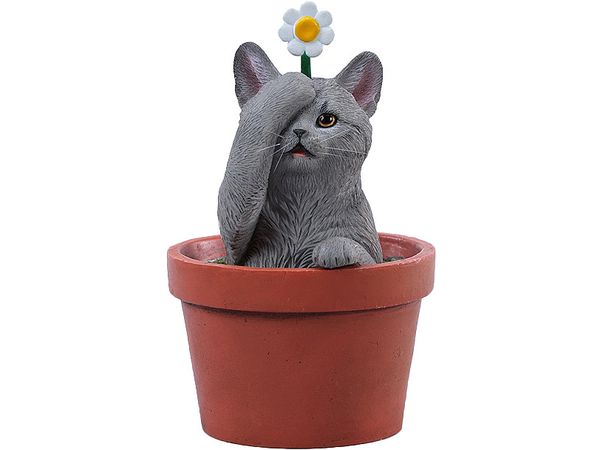 Flower Pot Cat E