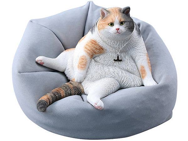 Tanking Cat A