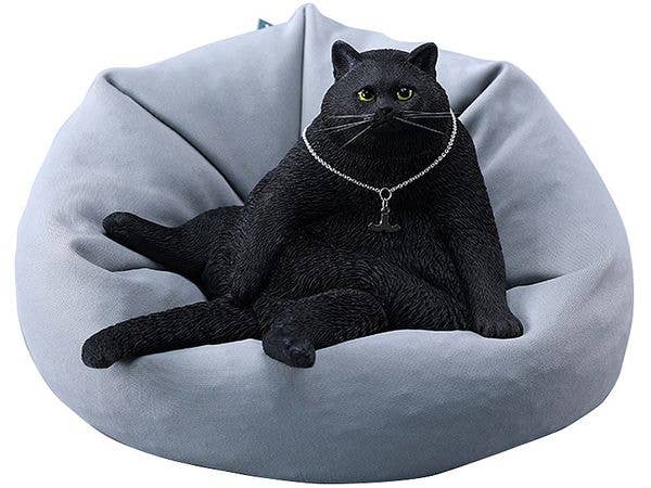 Tanking Cat B