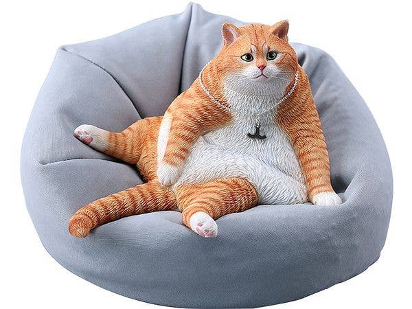 Tanking Cat C