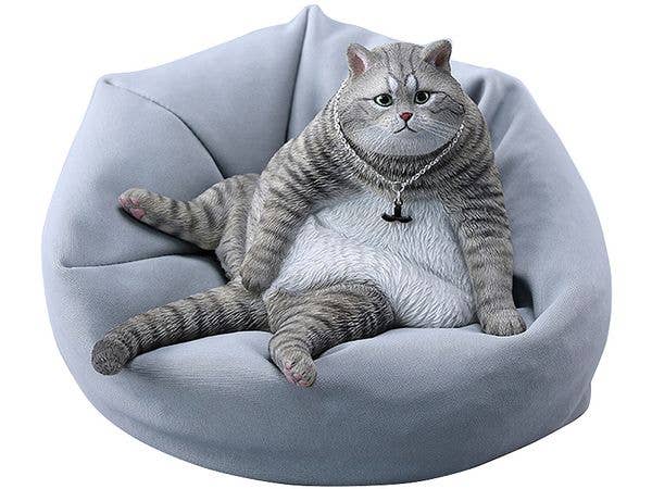 Tanking Cat D