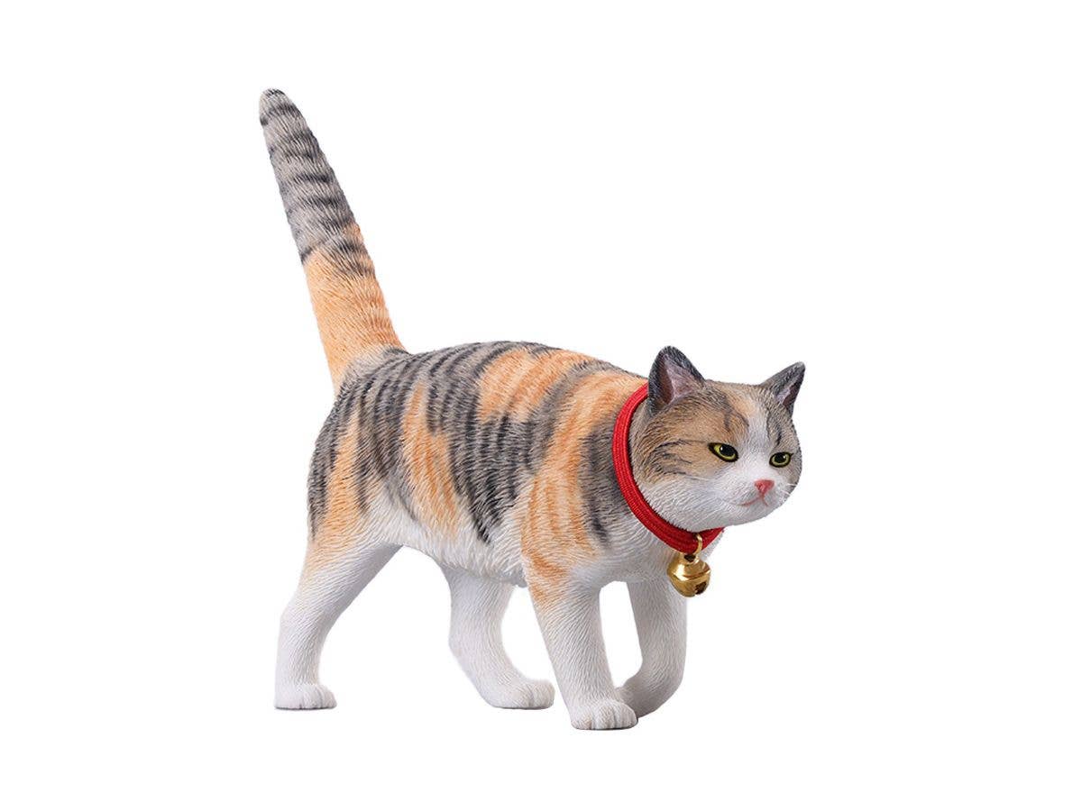 Chinese Country Cat 7.0 A