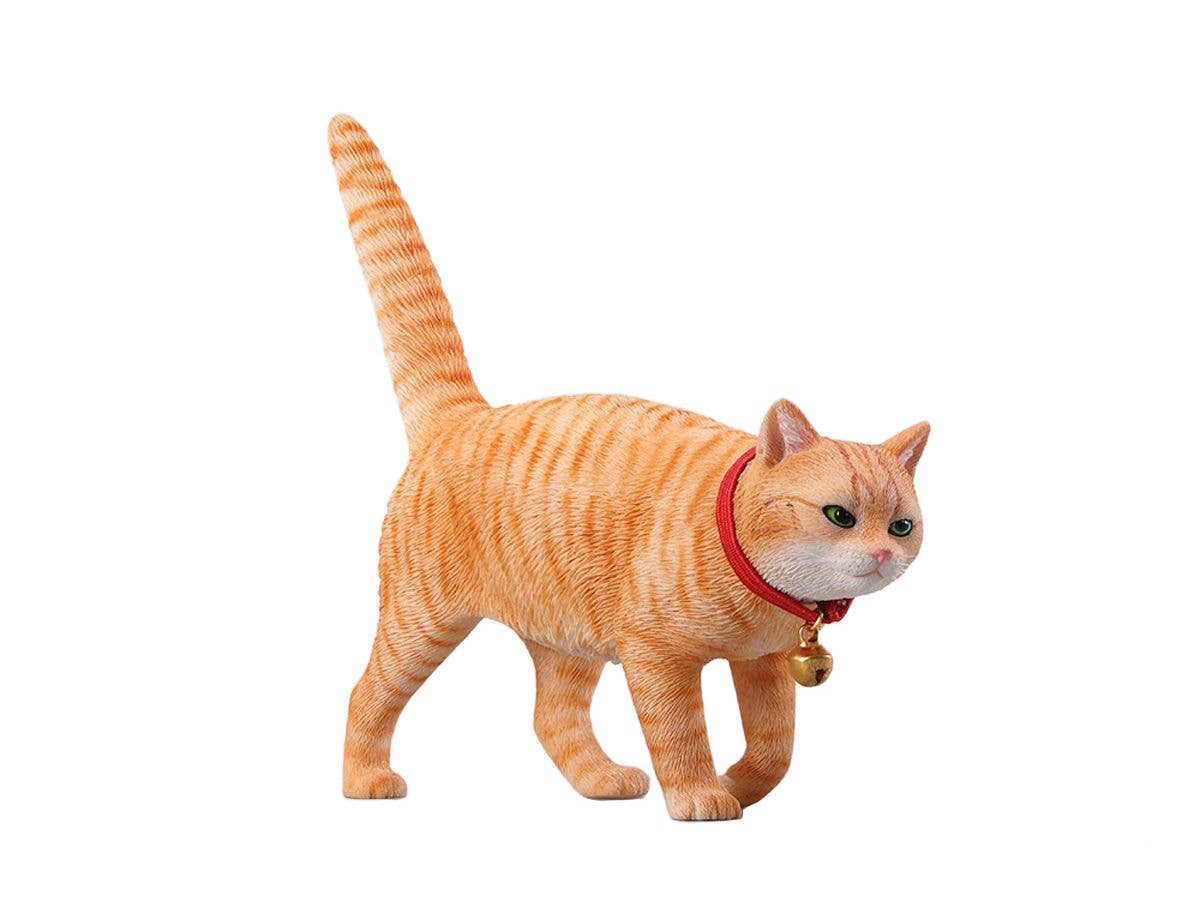 Chinese Country Cat 7.0 B