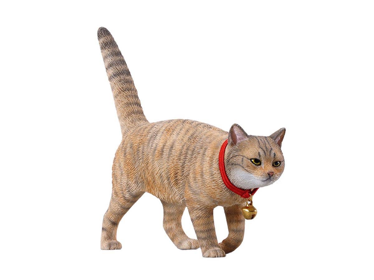 Chinese Country Cat 7.0 C
