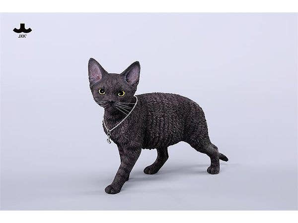Devon Rex 3.0 C