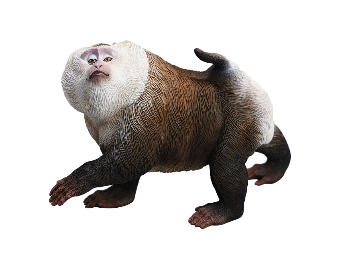 JXK Studio Northern Tat-tailed Monkey