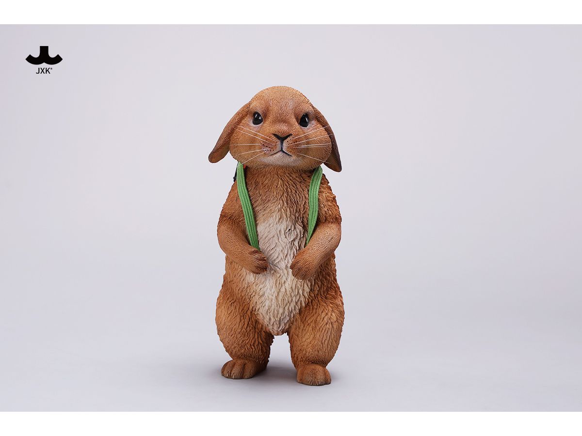 American Lop Rabbit C